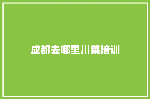 成都去哪里川菜培训 未命名