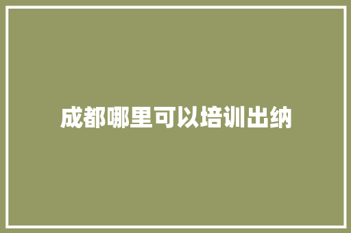 成都哪里可以培训出纳