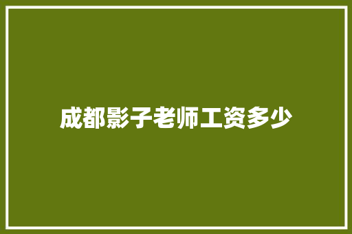 成都影子老师工资多少 未命名