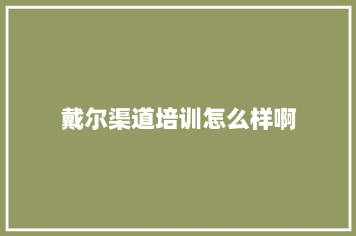 戴尔渠道培训怎么样啊 未命名