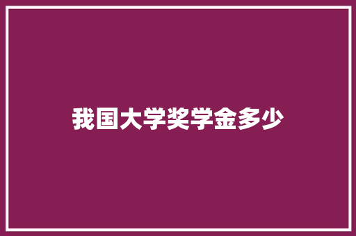 我国大学奖学金多少 未命名