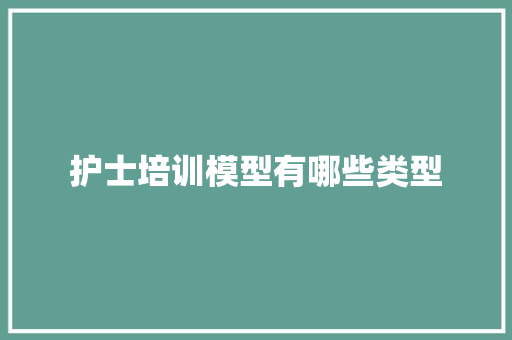 护士培训模型有哪些类型 未命名