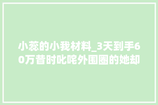 小蕊的小我材料_3天到手60万昔时叱咤外围圈的她却因网友的一则聊天锒铛入狱 求职信范文