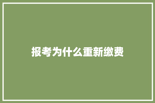 报考为什么重新缴费 未命名