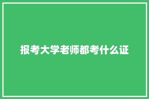 报考大学老师都考什么证 未命名