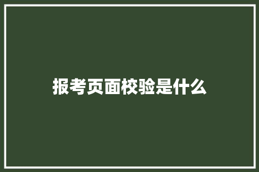 报考页面校验是什么 未命名