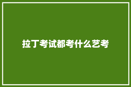 拉丁考试都考什么艺考 未命名