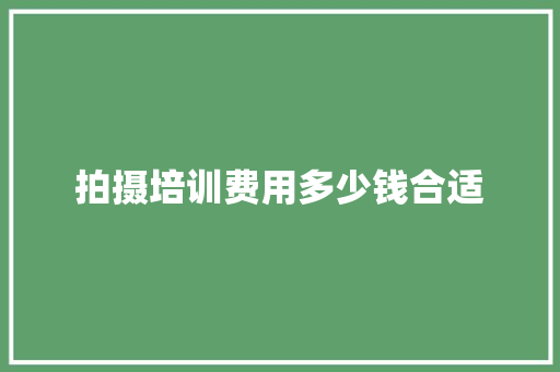 拍摄培训费用多少钱合适 未命名