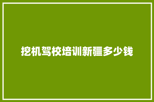 挖机驾校培训新疆多少钱 未命名