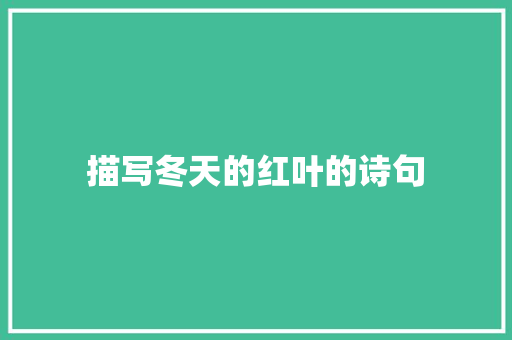 描写冬天的红叶的诗句 未命名