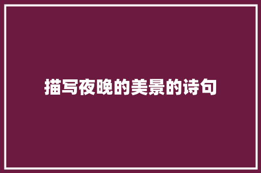 描写夜晚的美景的诗句 未命名