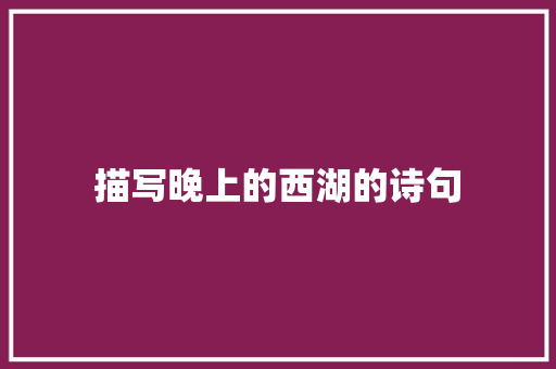 描写晚上的西湖的诗句