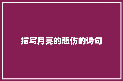 描写月亮的悲伤的诗句