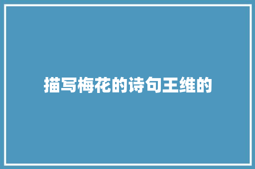 描写梅花的诗句王维的