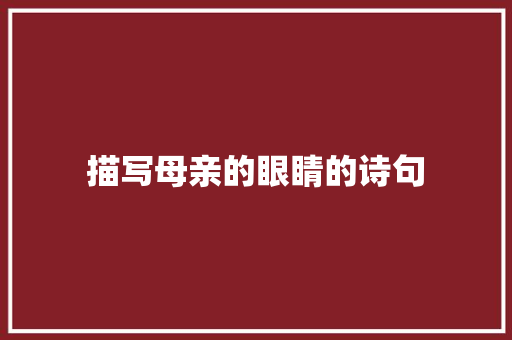 描写母亲的眼睛的诗句 未命名