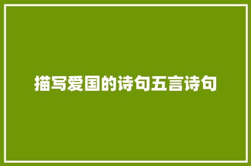 描写爱国的诗句五言诗句 未命名