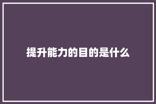 提升能力的目的是什么 未命名