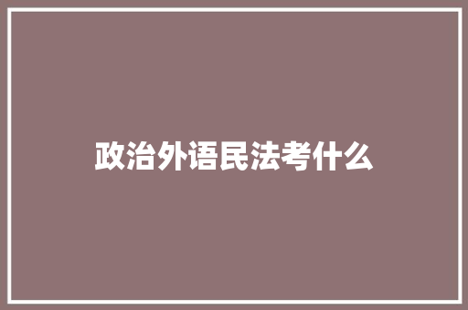 政治外语民法考什么 未命名