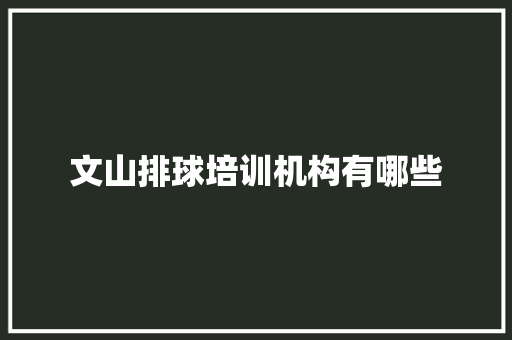 文山排球培训机构有哪些