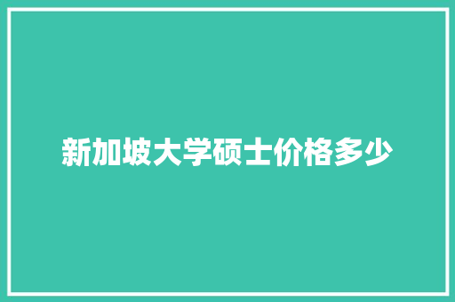 新加坡大学硕士价格多少 未命名