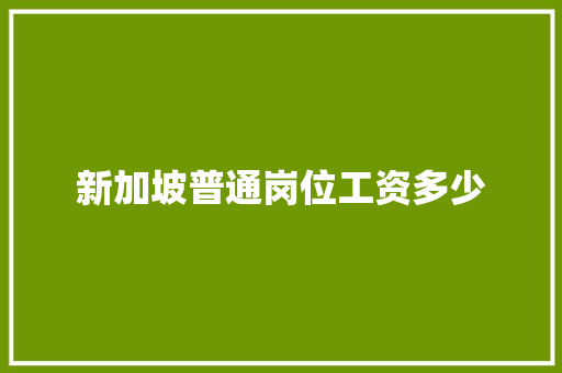 新加坡普通岗位工资多少 未命名