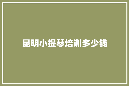 昆明小提琴培训多少钱