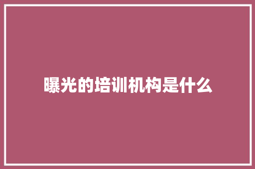 曝光的培训机构是什么 未命名