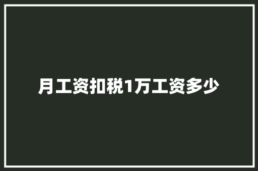 月工资扣税1万工资多少