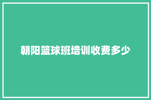 朝阳篮球班培训收费多少