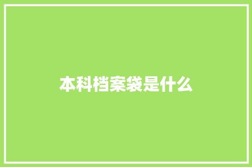 本科档案袋是什么 未命名