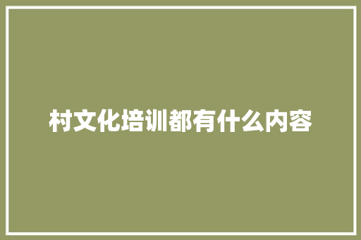 村文化培训都有什么内容