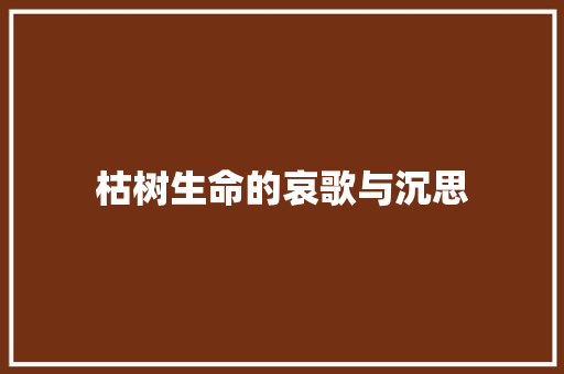 枯树生命的哀歌与沉思