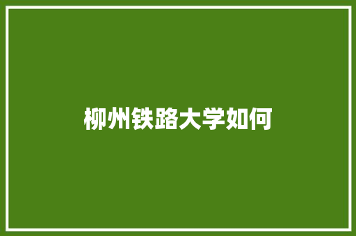 柳州铁路大学如何