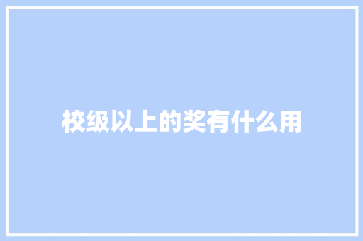 校级以上的奖有什么用 未命名