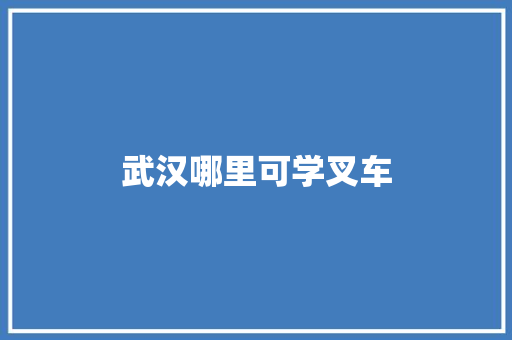 武汉哪里可学叉车 未命名