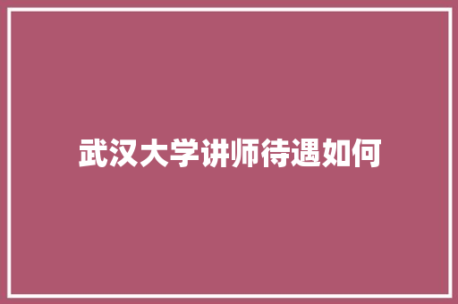 武汉大学讲师待遇如何 未命名