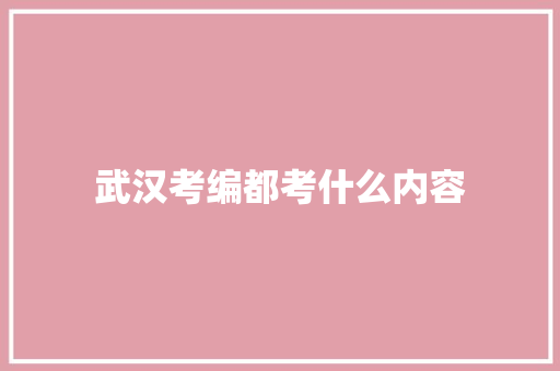 武汉考编都考什么内容 未命名