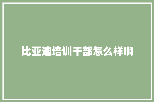 比亚迪培训干部怎么样啊