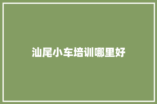 汕尾小车培训哪里好