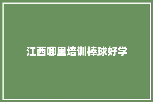 江西哪里培训棒球好学