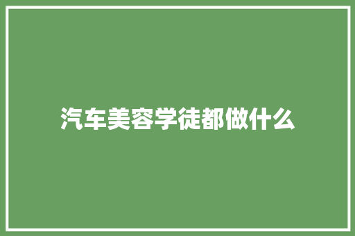 汽车美容学徒都做什么