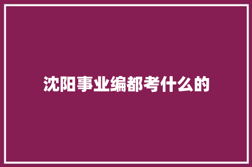 沈阳事业编都考什么的 未命名