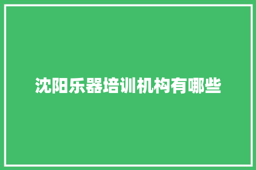 沈阳乐器培训机构有哪些