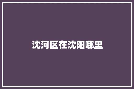 沈河区在沈阳哪里 未命名