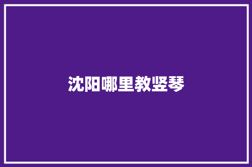 沈阳哪里教竖琴