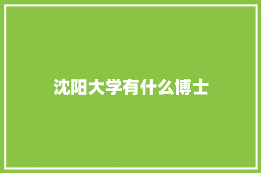 沈阳大学有什么博士