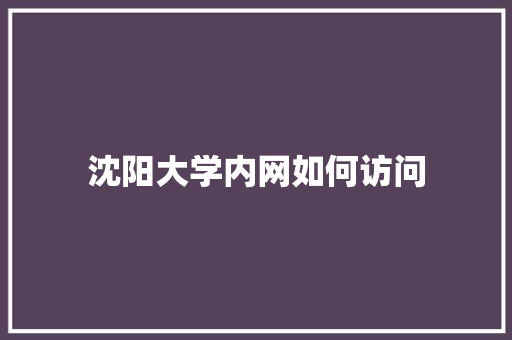 沈阳大学内网如何访问 未命名