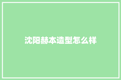 沈阳赫本造型怎么样 未命名