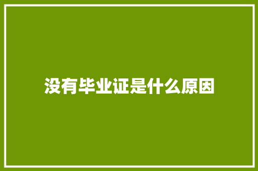 没有毕业证是什么原因 未命名