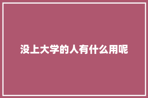 没上大学的人有什么用呢